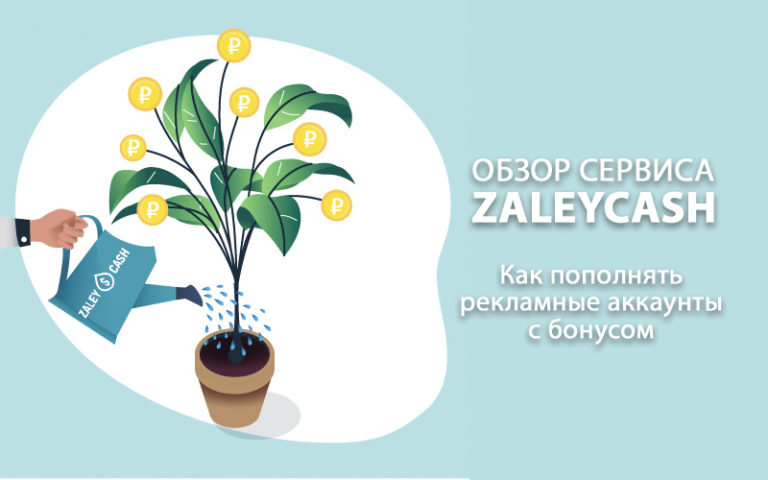 Обзор сервиса ZaleyCash